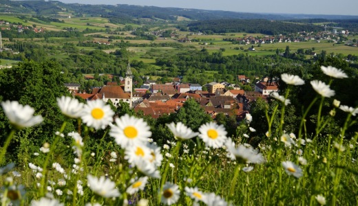 bilder15499_520x300_center_middle